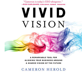 Vivid Vision: Summary for Vivid Vision By Cameron Herold 