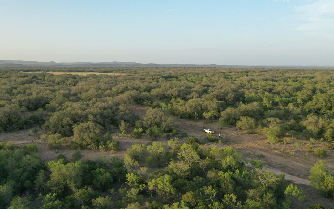 How to Buy Land in Texas – A Step-by-Step Guide